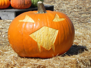 Star Bite, Nipomo Pumpkin Patch best carving idea